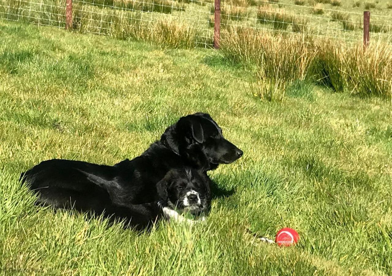The Barn At Geufron Farm - Dog Friendly - Nr Tywyn Villa Bryn-crug Buitenkant foto