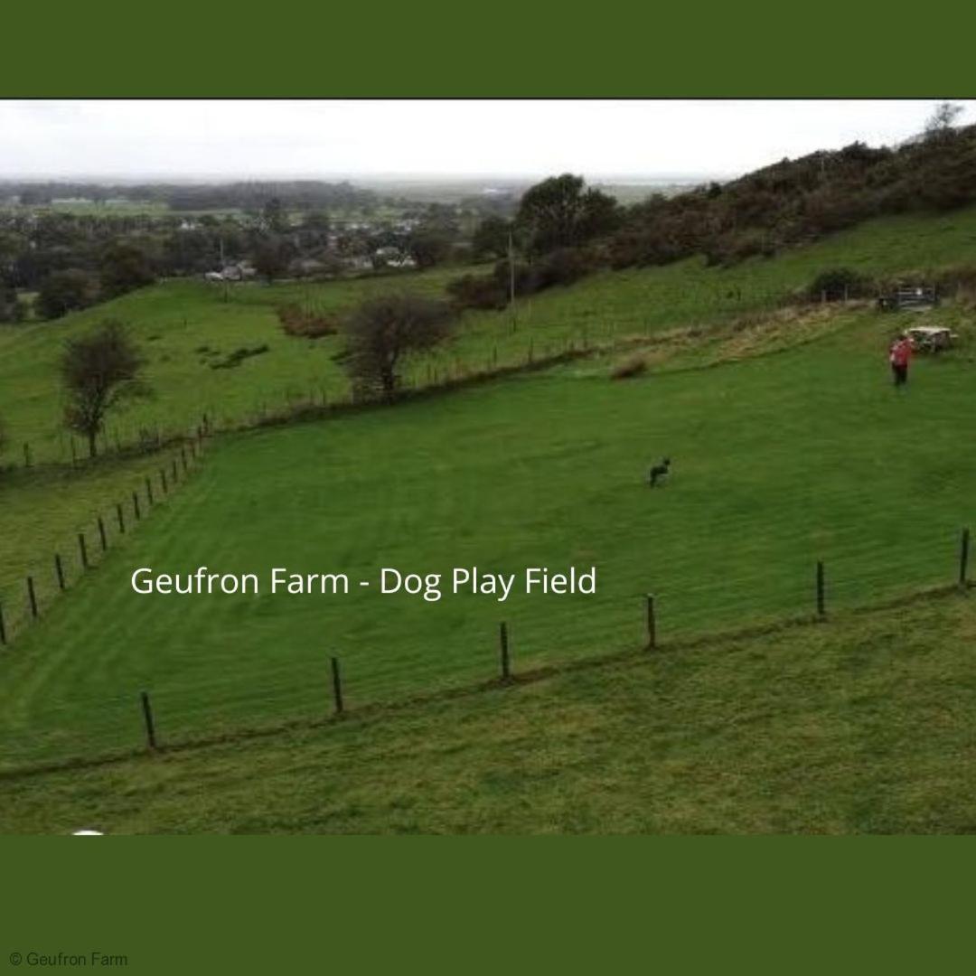 The Barn At Geufron Farm - Dog Friendly - Nr Tywyn Villa Bryn-crug Buitenkant foto
